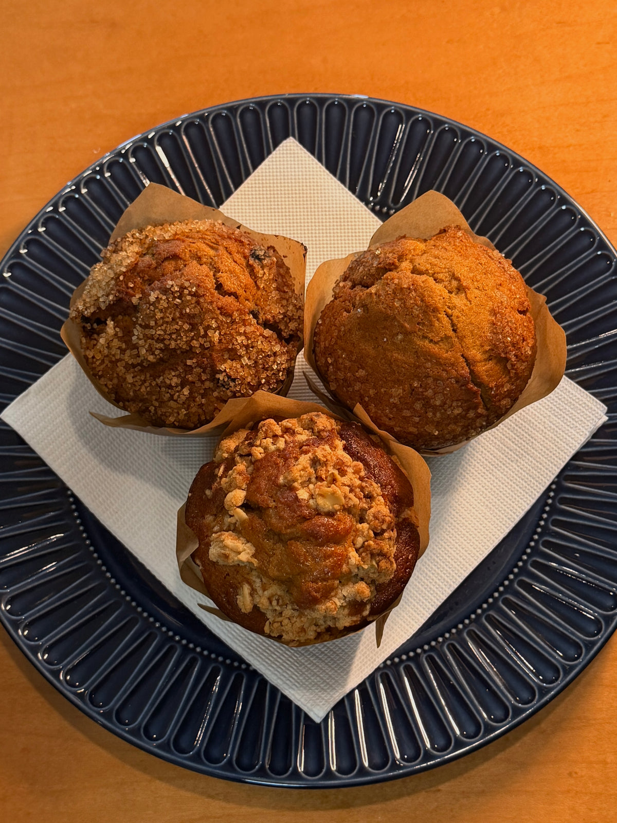 Muffin - Mammoth Muffin