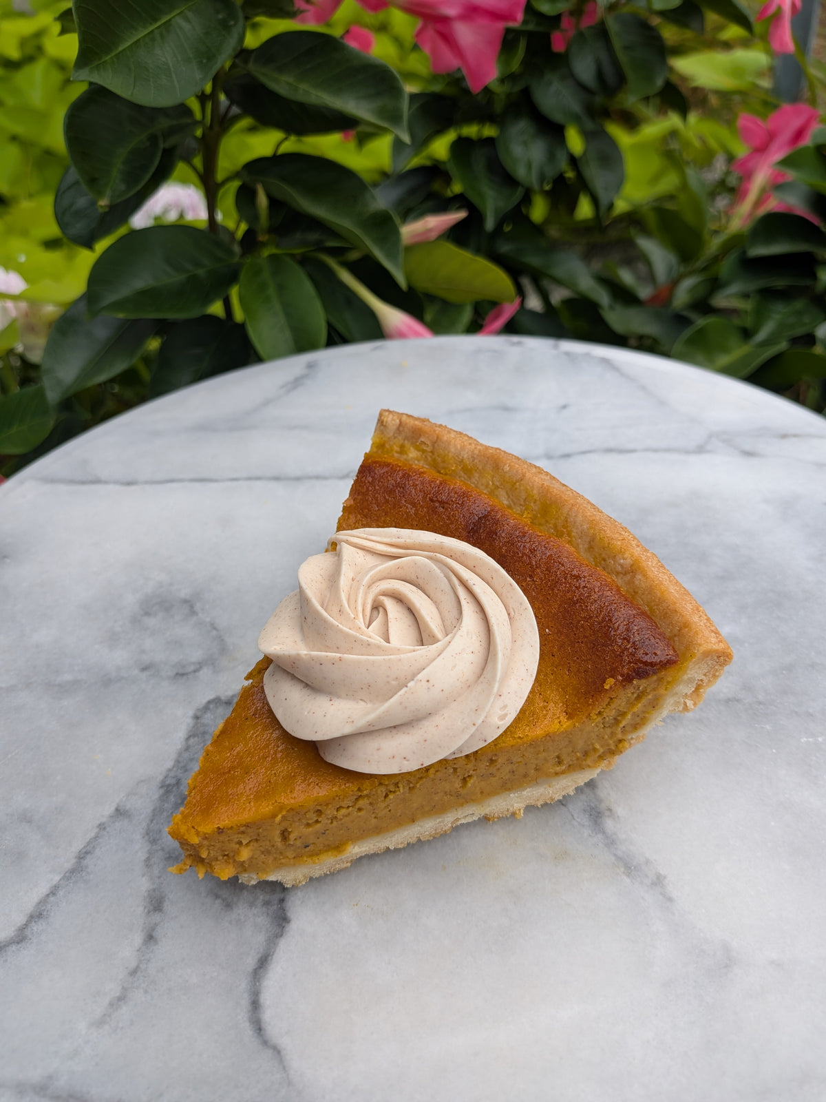 Fruit Pie - Pumpkin 9"